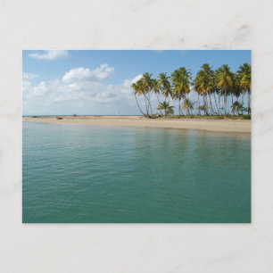Tarjeta postal de paisaje de playa de naturaleza m