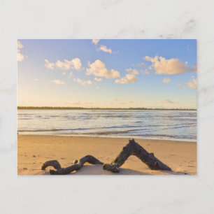 Tarjeta postal de paisaje de playa de naturaleza m