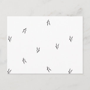 Tarjeta Postal de Pájaro Minimalista Arte de Patró