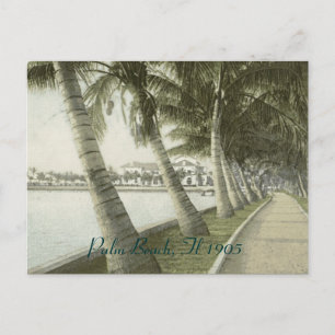 Tarjeta postal de Palm Beach 1905