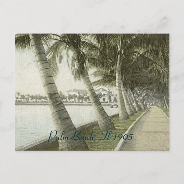 Tarjeta postal de Palm Beach 1905 (Anverso)