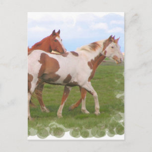 Tarjeta postal de pareja de caballos