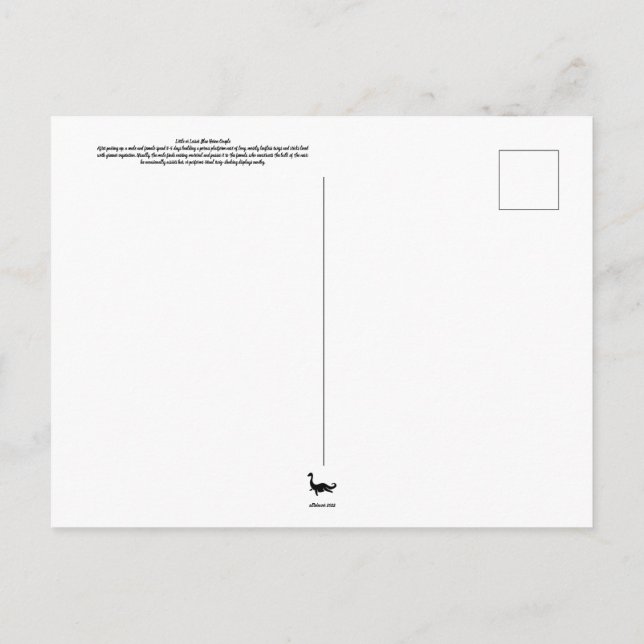 Tarjeta postal de pareja de garzas (Reverso)