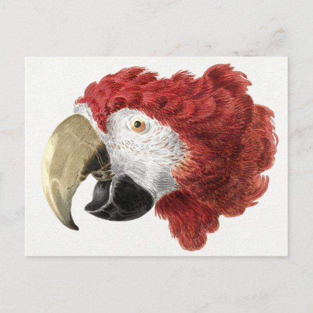 Tarjeta postal de Parrot (Anverso)