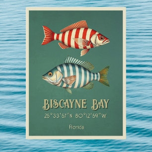 Tarjeta postal de peces de la bahía de Biscayne Fl