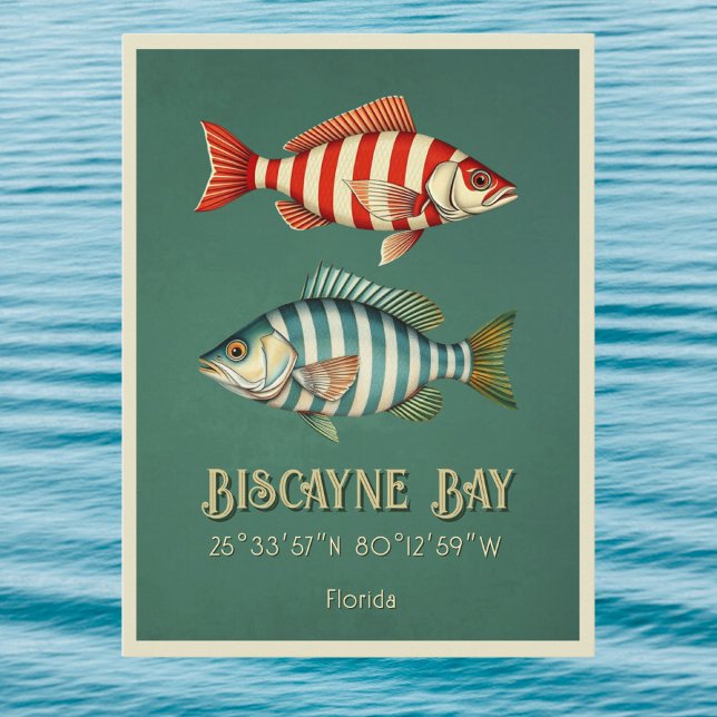 Tarjeta postal de peces de la bahía de Biscayne Fl (Subido por el creador)