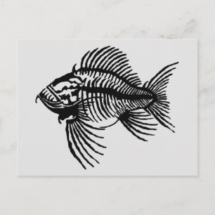 Tarjeta postal de peces fósiles