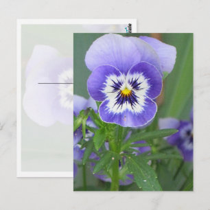 Tarjeta postal de pensamiento morado personalizabl