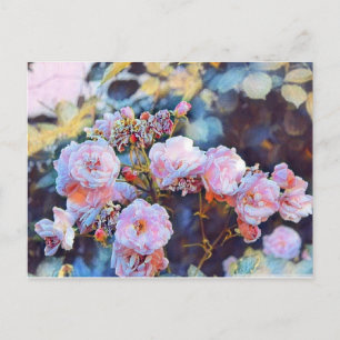 TARJETA POSTAL DE PEONIES ROSAS
