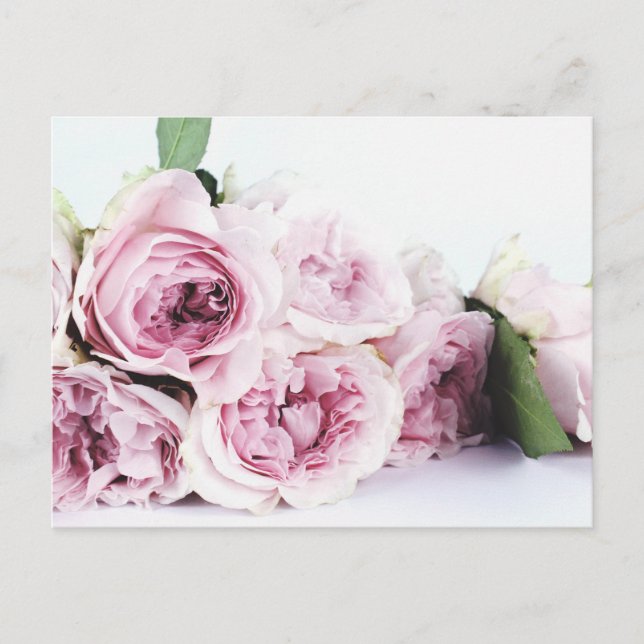 TARJETA POSTAL DE PEONY FLOWERS (Anverso)