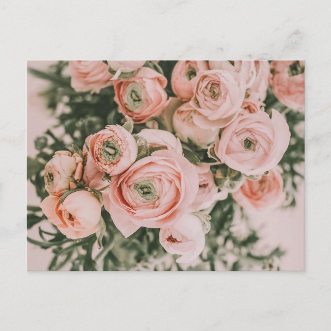 TARJETA POSTAL DE PEONY FLOWERS (Anverso)