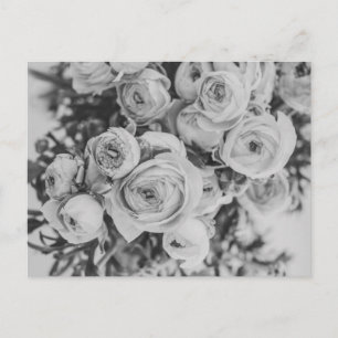 TARJETA POSTAL DE PEONY FLOWERS