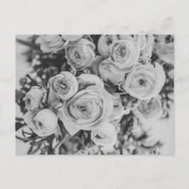 TARJETA POSTAL DE PEONY FLOWERS