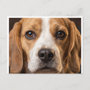 tarjeta postal de perro Beagle adorable