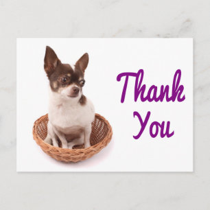 Tarjeta Postal de Perro Cachorro Chihuahua Agradec