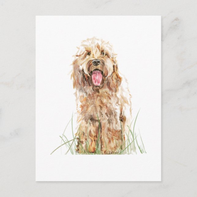 Tarjeta postal de perro Cockapoo - Arte de mascota (Anverso)