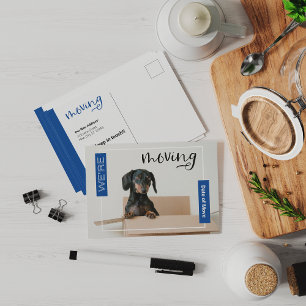Tarjeta postal de perro dachshund en caja 'Nos mud