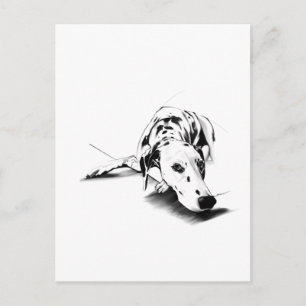 Tarjeta Postal de Perro Dálmata – Dibujado a Mano