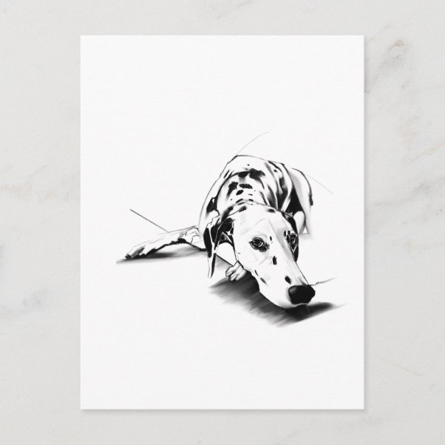 Tarjeta Postal de Perro Dálmata – Dibujado a Mano (Anverso)