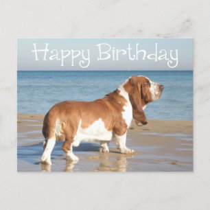 Tarjeta postal de perro de porcino del cumpleaños