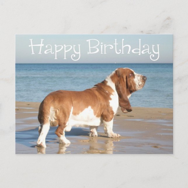Tarjeta postal de perro de porcino del cumpleaños  (Anverso)