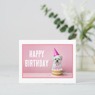 Tarjeta postal de perro maltés con sombrero de fie