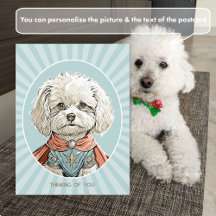 Tarjeta Postal de Perro Superhéroe Blanco Pensando