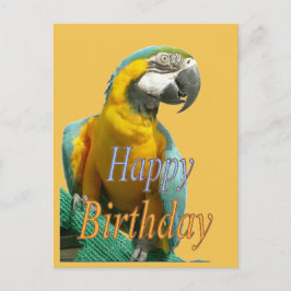 Tarjeta postal de Personalizable de cumpleaños fel