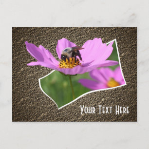 Tarjeta postal de Personalizable de Flor Cosmos