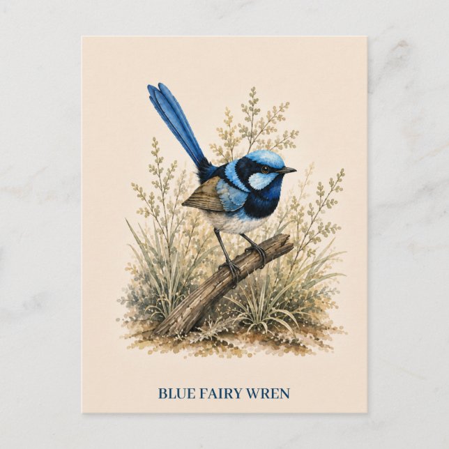 Tarjeta postal de Petirrojo azul | Edición Bush (Anverso)