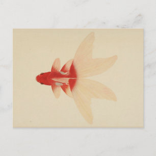 Tarjeta postal de pez dorado vintage