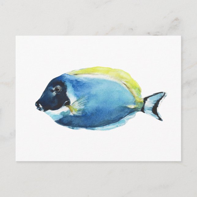Tarjeta postal de pez tango azul en polvo (Anverso)