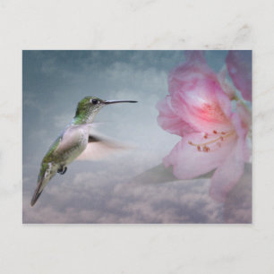Tarjeta postal de Picaflores
