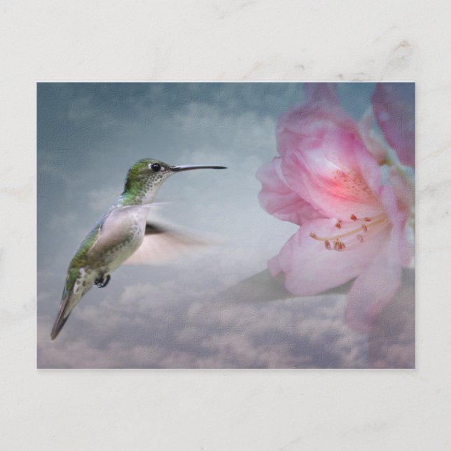 Tarjeta postal de Picaflores (Anverso)