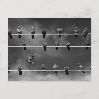Tarjeta postal de Pigeon Foosball