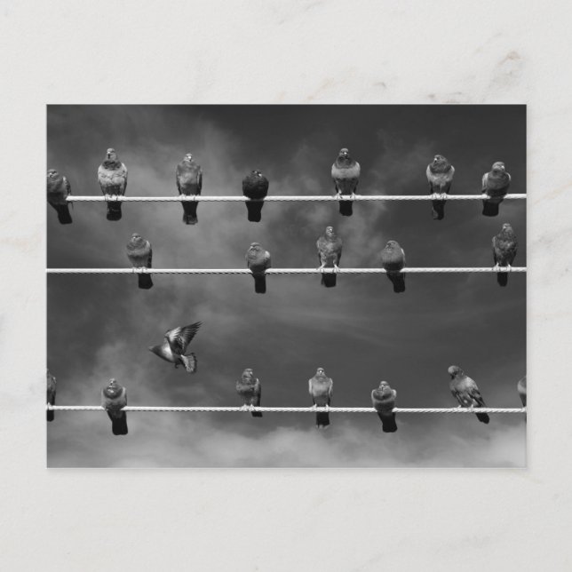 Tarjeta postal de Pigeon Foosball (Anverso)