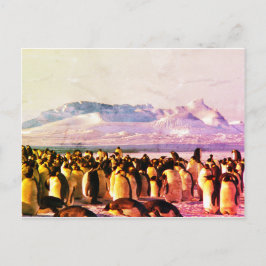 Tarjeta postal de pingüino Tarjeta postal de vacac