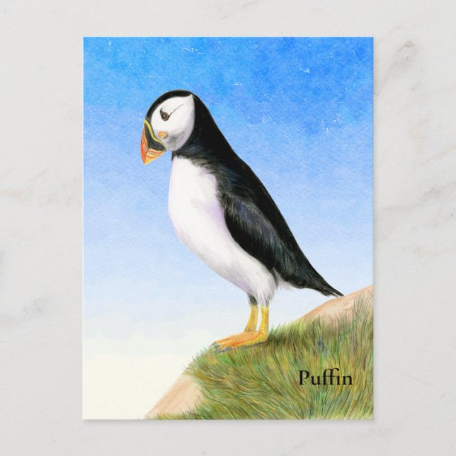 Tarjeta postal de pintura acuarela de ave fraileci (Anverso)