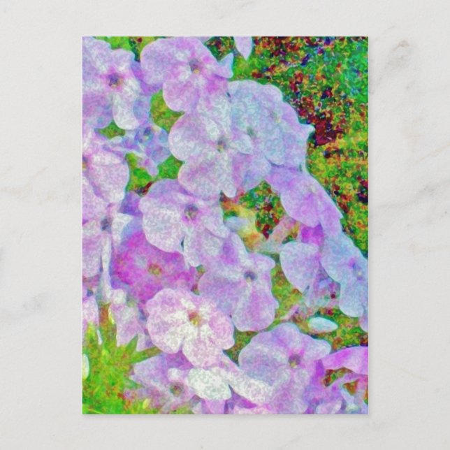 TARJETA POSTAL DE PINTURA DE FLOX (Anverso)