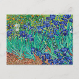Tarjeta postal de pintura de Vincent van Gogh Iris