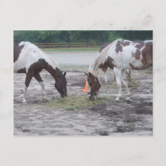 Tarjeta postal de pintura/pintura