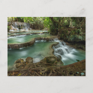 Tarjeta postal de piscinas de cascadas del bosque