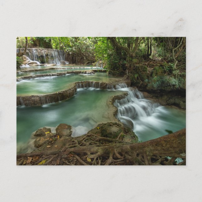 Tarjeta postal de piscinas de cascadas del bosque  (Anverso)