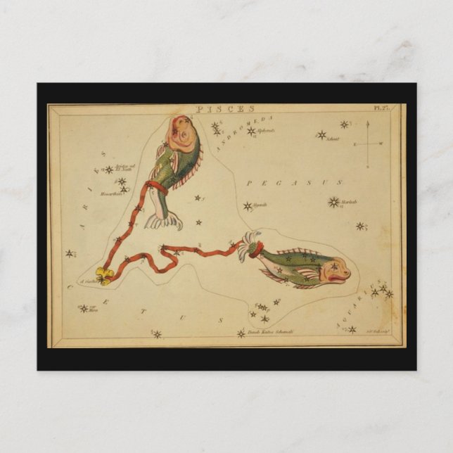 Tarjeta postal de Piscis (Anverso)