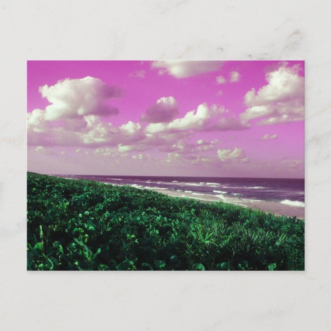 tarjeta postal de playa (Anverso)