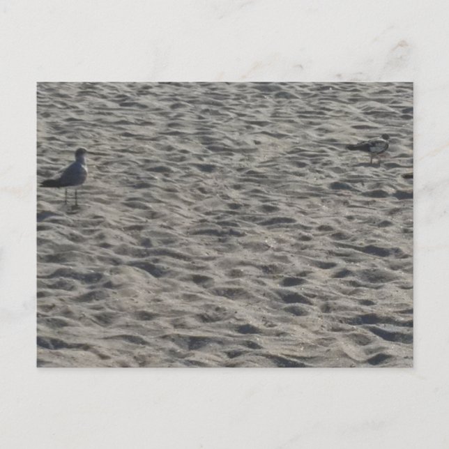 Tarjeta postal de playa (Anverso)