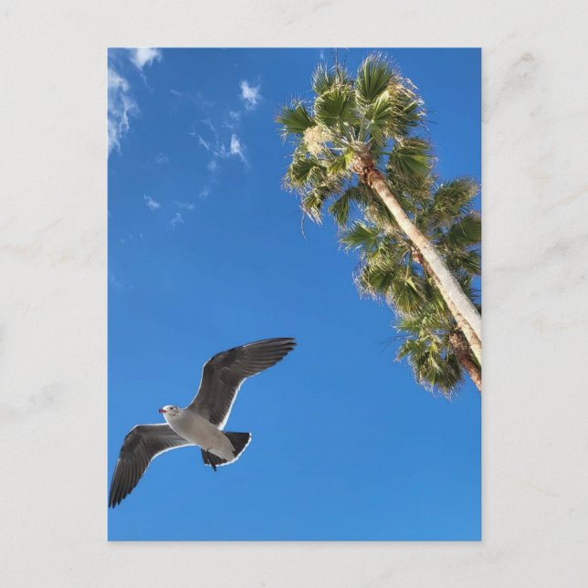 Tarjeta postal de playa (Anverso)