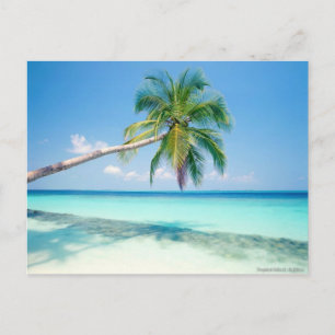tarjeta postal de playa de caribeña
