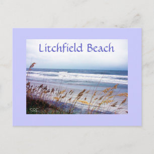 TARJETA POSTAL DE PLAYA, Playa Litchfield