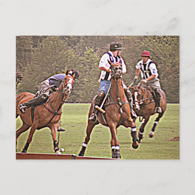 Tarjeta postal de Polo (Anverso)